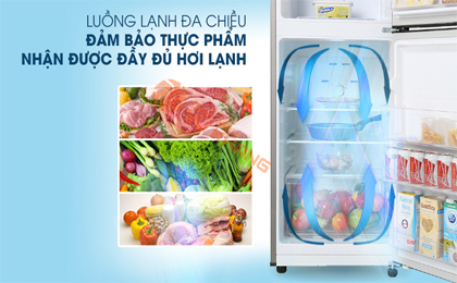 Tủ lạnh Samsung Inverter 208 lít RT20HAR8DBU/SV