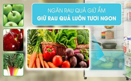 /upload/images/anh-up-web/H200PGV7/Tu-lanh-Hitachi-203-Lit-2-canh-Inverter-H200PGV7.jpg