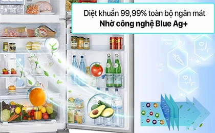 /upload/images/album-anh/anh-up-web-3/NR-TV261APSV/Tu-lanh-Panasonic-Inverter-234-lit-NR-TV261APSV.jpg
