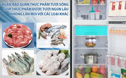 /upload/images/album-anh/anh-up-web-3/SJ-X176E-SL/Tu-lanh-Sharp-Inverter-150-lit-SJ-X176E-SL.jpg