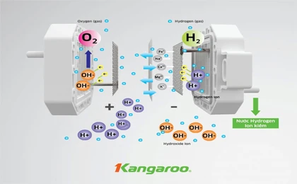/upload/images/album-anh/anh-up-web-3/KG100EED/May-loc-nuoc-Kangaroo-Hydrogen-ion-kiem-KG100EED.jpg