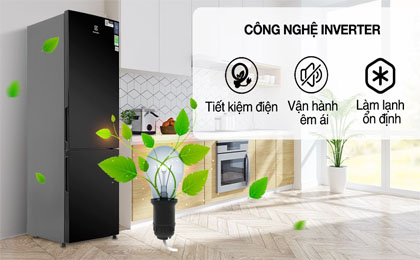 upload/images/san-pham/anh-dai-dien/tu-lanh-electrolux-inverter-253-lit-ebb2802k-h.jpg