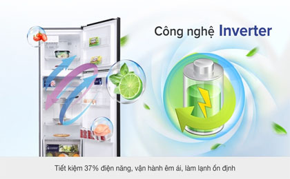 upload/images/san-pham/anh-dai-dien/tu-lanh-electrolux-inverter-312-lit-etb3440k-h6.jpg