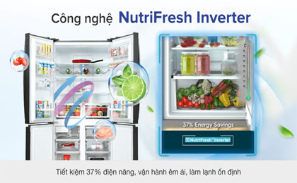 upload/images/san-pham/anh-dai-dien/tu-lanh-electrolux-inverter-541-lit-eqe6000a-b.jpg