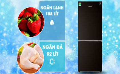 upload/images/san-pham/anh-dai-dien/tu-lanh-samsung-inverter-280-lit-rb27n4010bysv.jpg