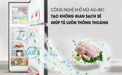 upload/images/san-pham/anh-dai-dien/tu-lanh-toshiba-inverter-253-lit-gr-b31vu-sk.jpg