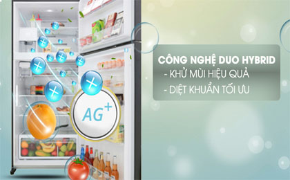 upload/images/san-pham/anh-dai-dien/tu-lanh-toshiba-inverter-555-lit-gr-ag58va-xk.jpg