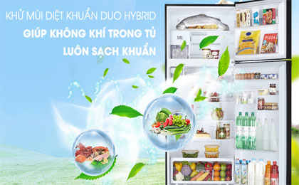 upload/images/san-pham/anh-dai-dien/tu-lanh-toshiba-inverter-608-lit-gr-ag66va-xk-.jpg
