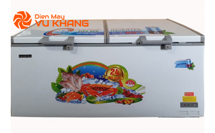 /upload/images/anh-up-web/NTD-888-In/Tu-dong-Nishu-Inverter-NTD-888-In-600-lit.jpg