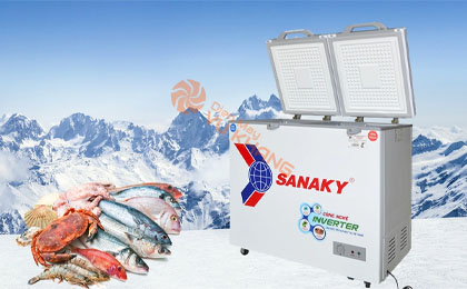Tủ đông Sanaky Inverter 220 lít VH-2899W4K -