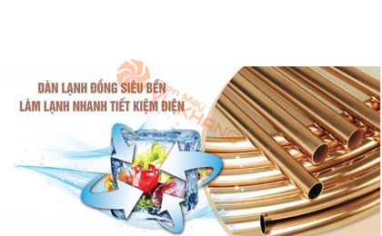 Tủ đông Sanaky Inverter 270 lít VH 3699A3